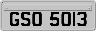 GSO5013