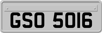 GSO5016