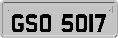 GSO5017