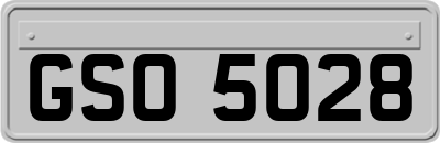 GSO5028