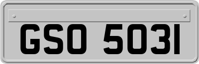 GSO5031