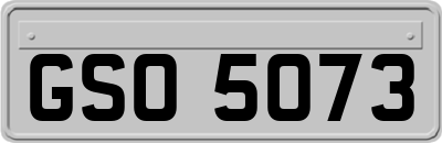 GSO5073