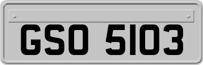 GSO5103