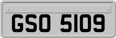 GSO5109