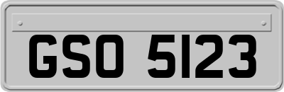 GSO5123