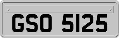 GSO5125