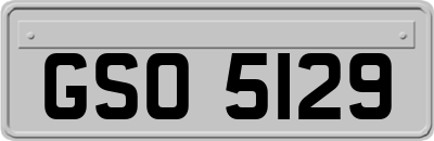 GSO5129