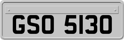 GSO5130