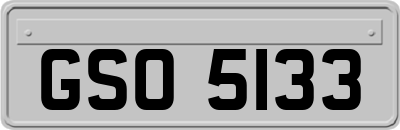 GSO5133