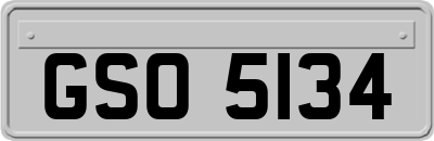 GSO5134