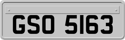 GSO5163