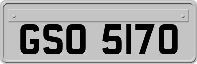 GSO5170