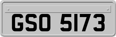 GSO5173