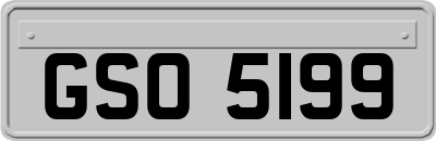 GSO5199