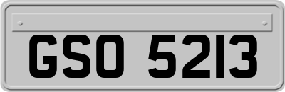 GSO5213