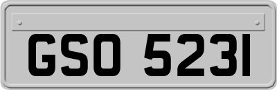 GSO5231