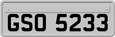 GSO5233