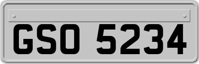 GSO5234