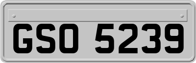 GSO5239