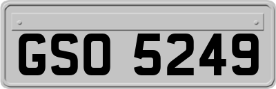 GSO5249