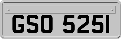 GSO5251
