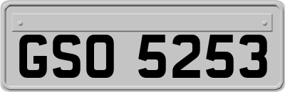 GSO5253