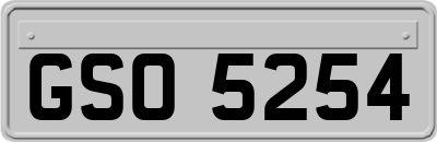 GSO5254