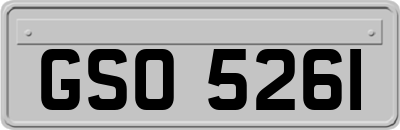 GSO5261