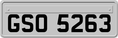 GSO5263