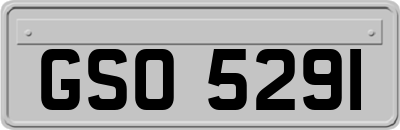 GSO5291
