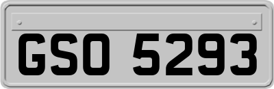 GSO5293