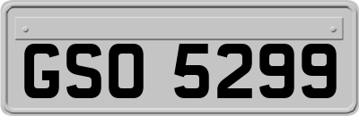 GSO5299