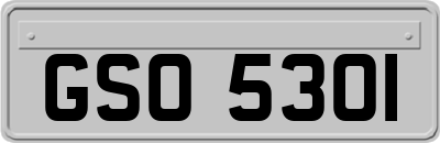 GSO5301