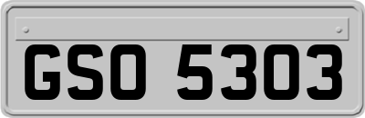 GSO5303