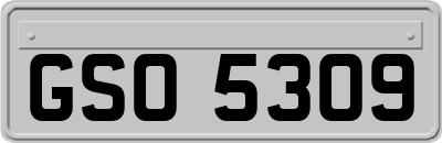 GSO5309