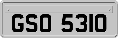 GSO5310