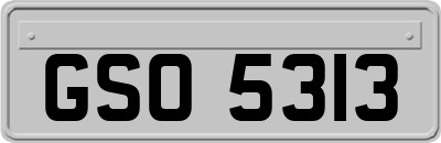 GSO5313