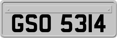 GSO5314