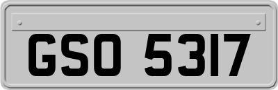 GSO5317
