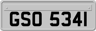 GSO5341