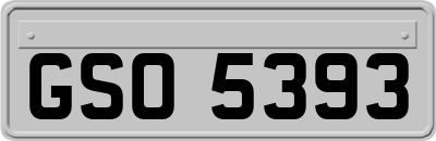 GSO5393