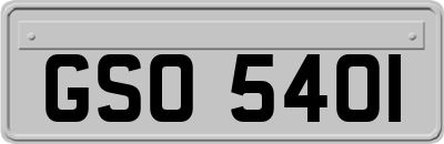 GSO5401