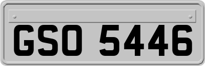 GSO5446