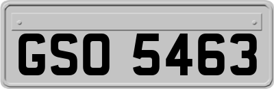GSO5463