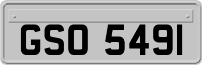 GSO5491