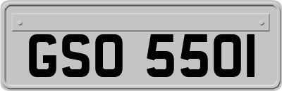 GSO5501