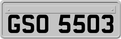 GSO5503