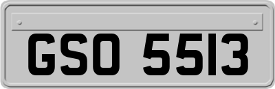 GSO5513
