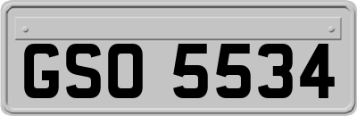 GSO5534