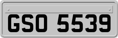 GSO5539